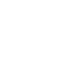 White version of the Ayrton Logo