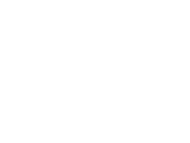 White version of the MA Lightng Logo