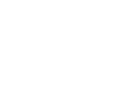 White version of the MDG Logo
